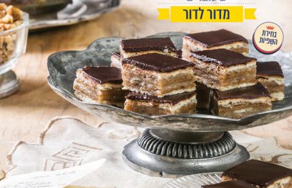 פרוייקט נוסטלגי עם בלובנד
