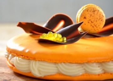 מגה מקרון פירות הדר